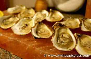 Health Canada recalls certain BC oysters due to norovirus contamination – Vanderhoof Omineca Express - Omineca Express