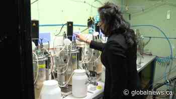 Toronto ranked the 3rd-largest tech hub in North America