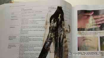 Kuriose Entdeckung an der Universität Erlangen-Nürnberg - t-online