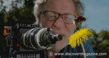 Inspire Your Community to Protect Local Pollinators