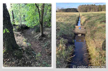 Pilotprojekt Wasserrückhalte- und Grabenmanagement in der Region Celle wird von DBU und Landkreis Celle gefördert - Celler Presse