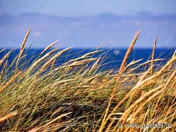 Teilerfolg für die Region Cuxhaven, geplante Verklappung vor Scharhörn vorerst gestoppt - Gütsel
