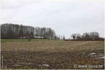 Oosterzele wil landschap met open kouters voor de toekomst bewaren - NUUS