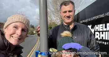 Ukraine crisis: Beaconsfield schools hit road to raise funds for emergency appeal - Buckinghamshire Live