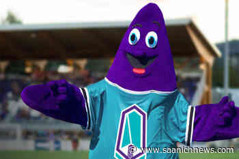 Pacific FC conducting interviews for new Stewie the Starfish – Saanich News - Saanich News