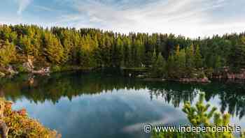 Runners ready to take on the mountain on Forth Mountain Trail Run - Independent.ie