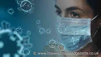 Latest coronavirus cases for South Lakeland - The Westmorland Gazette