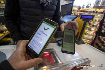 Green pass: a Matera contravvenzioni per settemila euro - Basilicata - Agenzia ANSA