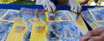 Monza: la festa degli Amici Cucciolotti al parco-canile Enpa dopo due anni di stop - Il Cittadino di Monza e Brianza