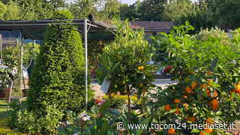 Monza Green Experience - TGCOM