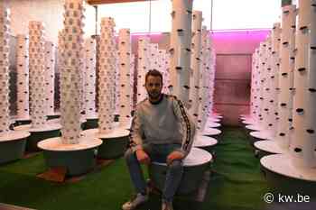 David Van Steenkiste opent Demo Tower Farm in Tielt - KW.be - KW.be