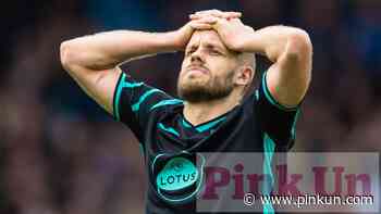 Norwich City: Chris Sutton exclusive column on Teemu Pukki - PinkUn