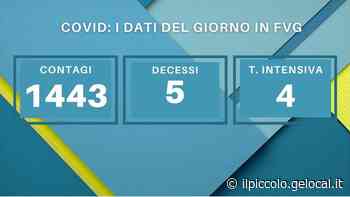 Coronavirus in Fvg, 1.433 nuovi contagi e 5 decessi - Il Piccolo