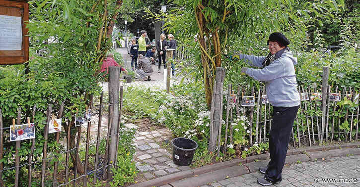 Heidelberg:  Stadt will das urbane Gärtnern aktiv fördern