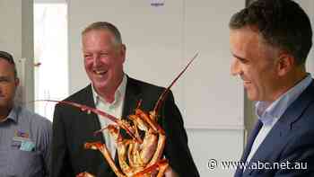 SA Premier claws support from Limestone Coast's forestry, lobster and health sectors