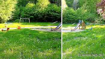 Siegen: Diese baufälligen Spielplätze sollen erneuert werden - WP News