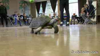 Kamloops kids head to Science Centre, Wildlife Park for spring break 'edutainment' - CFJC Today Kamloops
