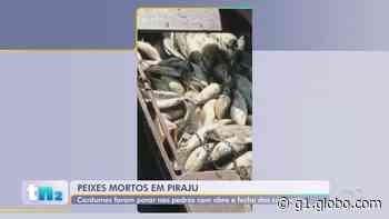 Moradores registram vários peixes mortos no Rio Paranapanema em Piraju; vídeo - Globo.com