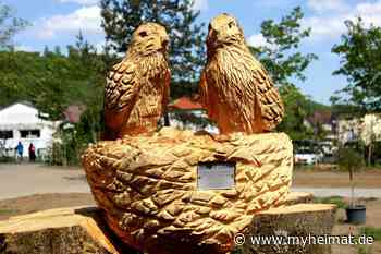 Kein Geld, kein Personal, keine Kapazitäten - aus der Ratssitzung - Bad Lauterberg im Harz - myheimat.de