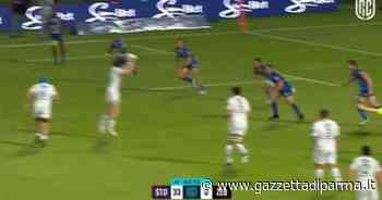 Le Zebre affrontano i Gallesi sabato a Parma- Video - Gazzetta di Parma