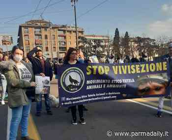 Meta e Avi: "La marcia per la liberazione dei macachi di Parma come la marcia del sale di Gandhi" - - ParmaDaily.it