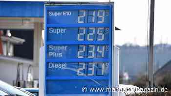 Inflation: Ifo-Institut erwartet bis zu 6,1 Prozent Preissteigerung