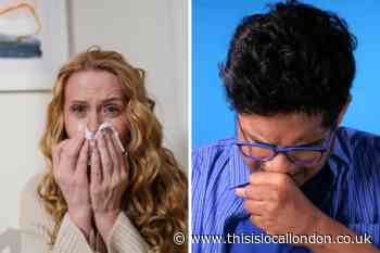 Here's 6 ways you can reduce hay fever symptoms at home this Spring