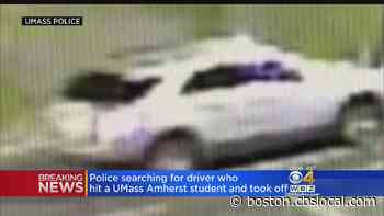 Police Search For Driver After UMass Amherst Student Was Hit By Car In Crosswalk - CBS Boston