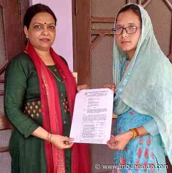 Nine get Himachal Road Transport Corporation jobs on grounds of compassion - The Tribune India