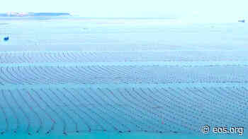 Coastal Aquaculture Can Reduce Nutrient Transport - Eos