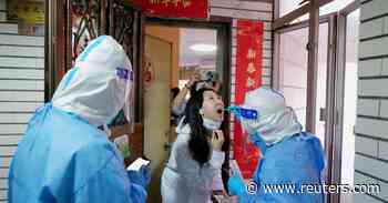 Some areas of China's Shenzhen city to restart work, public transport on March 18 - Reuters.com