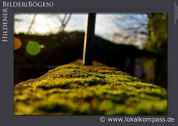 Hildener Bilder(Bögen) - Das Frühjahr: Der Frühling naht ... - www.lokalkompass.de