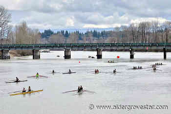 Langley Olympic rowing champion is rebuilding the UFV Cascades team where she started – Aldergrove Star - Aldergrove Star