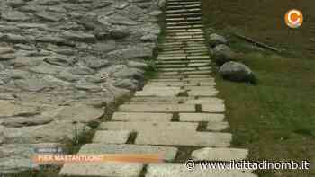 Giornata mondiale dell'acqua al parco dedicato di Arcore: studenti in visita all'area di recupero ambientale - Il Cittadino di Monza e Brianza