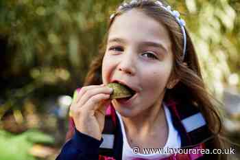 Aldershot residents asked to help food charity supporting children - In Your Area