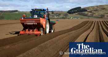 Farmers and environmentalists must unite to create a sustainable food system - The Guardian