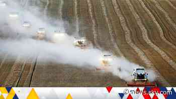 Ukraine war: Why the Russian invasion is leading to global food shortages - Sky News