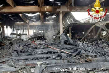 Incendio di Eboli, la lettera dei lavoratori: "Cari Marco e Giuseppe Salvi..." - Fruitbook Magazine