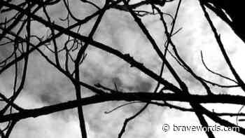 SYLVAN REALM Featuring WOODS OF YPRES And AURORA BOREALIS Members Release New Album; "Monumental Abandonment" Single Streaming - bravewords.com