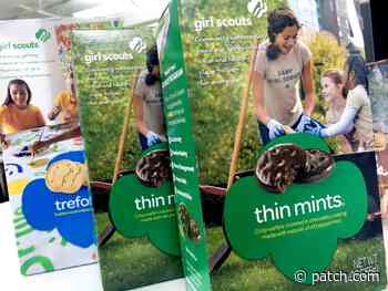 Girl Scout Cookies: Where To Find Them In Aurora - Patch