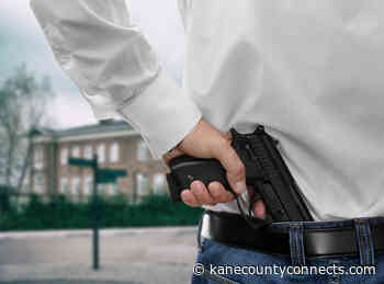 Aurora Area LoWV Hosts March 29 Discussion on Gun Violence - kanecountyconnects.com