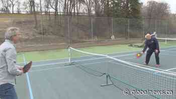 Oliver Parks and Recreation to add four more pickleball courts - Global News