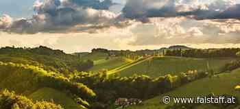 Die besten Weingüter der Südsteiermark