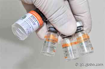 Dracena suspende vacinação contra a Covid-19 nesta quarta-feira para pessoas a partir dos 12 anos - Globo.com