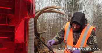 DNR will shift monitoring statewide after chronic wasting disease case turns up in Grand Rapids