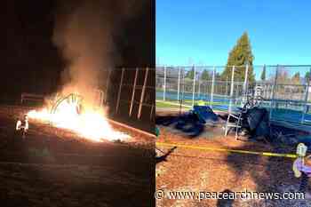 Youth arrested in connection with fire at North Delta park – Peace Arch News - Peace Arch News