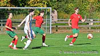 Zweiter Saisonsieg: B-Junioren des VfB gewinnen 3:0 gegen Hemmingen - Sportbuzzer
