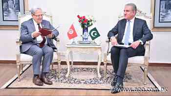 Pakistan, Tunisia FMs agree to maintain high level exchanges to advance cooperation - Associated Press of Pakistan