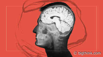 Superhumans: The remarkable brain waves of high-level meditators - Big Think