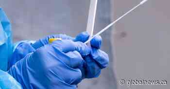 Ontario COVID numbers: 611 people in hospital, 174 in intensive care